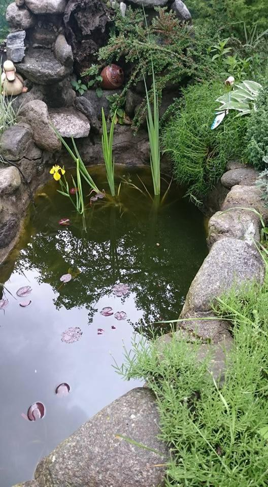 Veselata Guest House Dolna Banya Bagian luar foto